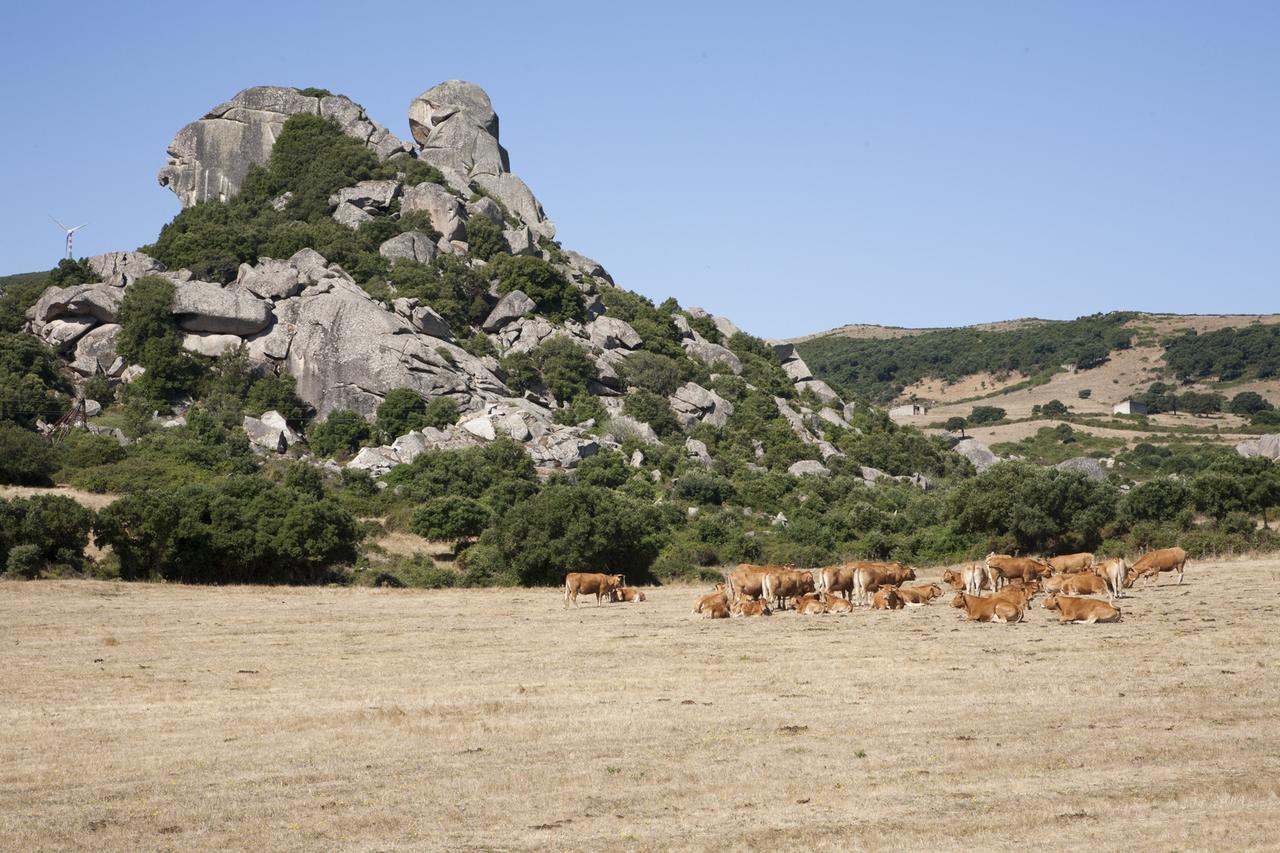 Locanda Li Manni Aggius Luaran gambar