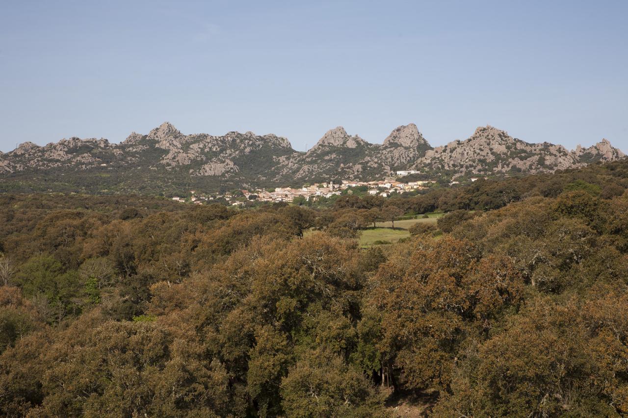 Locanda Li Manni Aggius Luaran gambar
